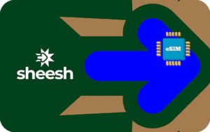 Sheesh 20 GB - 30 Days
