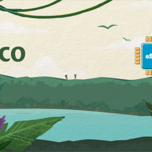 Pico 1 GB - 7 Days