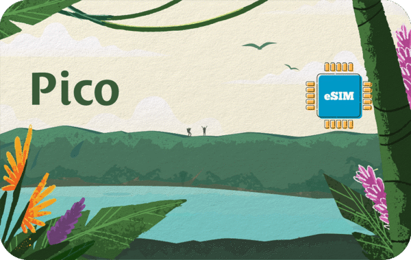 Pico 10 GB - 30 Days