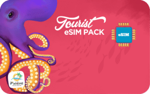 Maldives Tourist eSIM 20 GB - 30 days