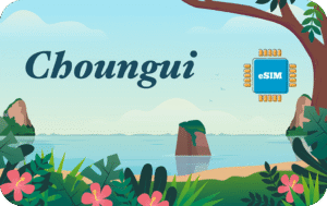 Choungui 20 GB - 30 days