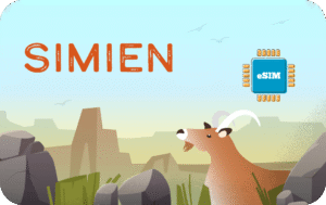 Simien 3 GB - 30 days