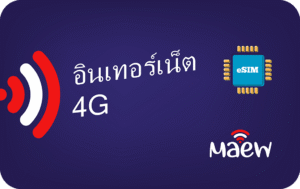 Maew 3 GB - 30 Days