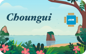 Choungui 3 GB - 30 Days