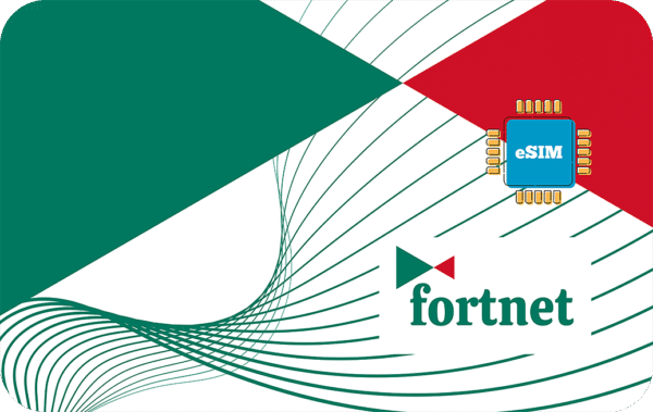 Fortnet 2 GB - 15 Days