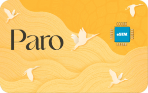 Paro 20 GB - 30 days